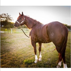 Meet your Posher, Kendra